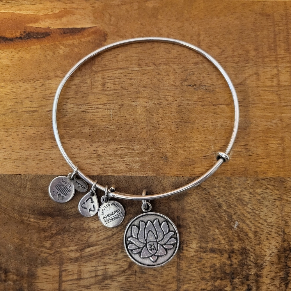 Alex and Ani Lotus Flower 2014 Charm Bracelet Rafaelian Silver Ton…